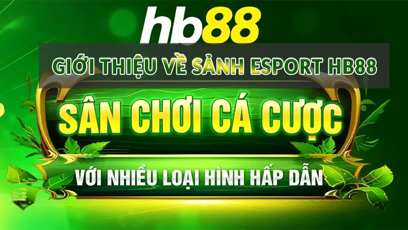 Giới thiệu về sảnh Esport HB88